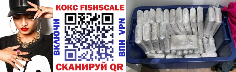 shop телеграм  omg вход  Шуя  COCAIN Fish Scale 