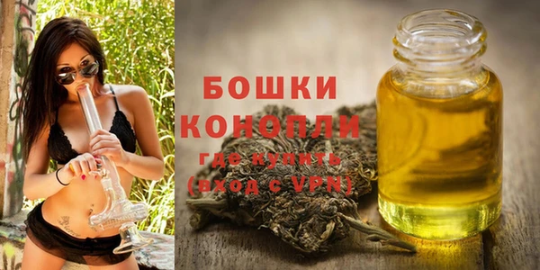 PSILOCYBIN Сосновый Бор