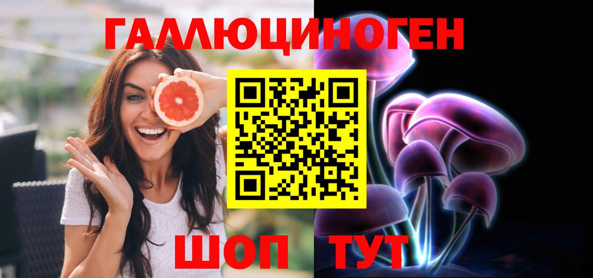 Шуя  Псилоцибиновые грибы GOLDEN TEACHER  сколько стоит  Вход с VPN 